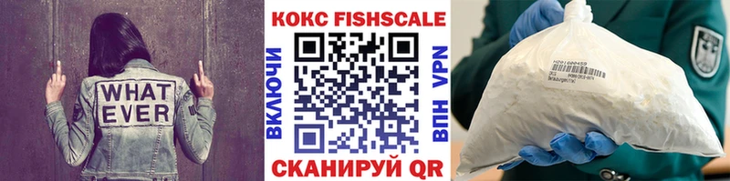 Cocaine FishScale  omg маркетплейс  Кыштым  цена  