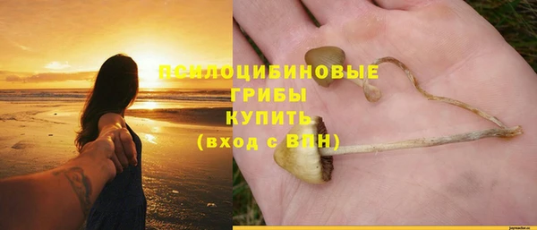 прущая мука Армянск